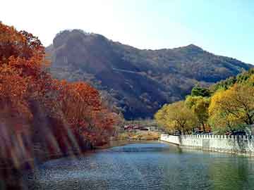 新澳天天开奖资料大全旅游团，深圳到重庆物流公司